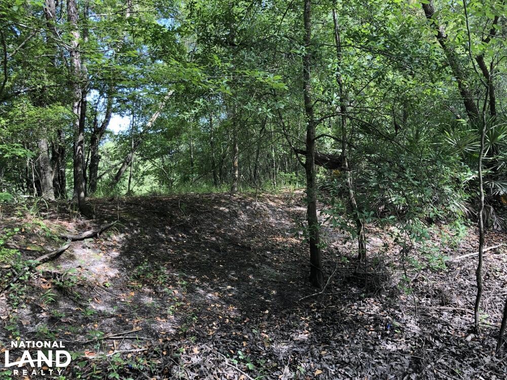 Ohoopee River Recreational Tract in Tattnall County, (75 Photos