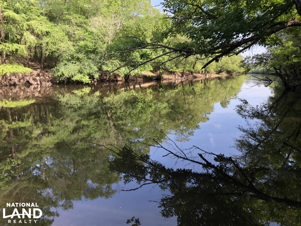 Ohoopee River Recreational Tract in Tattnall County, (75 Photos
