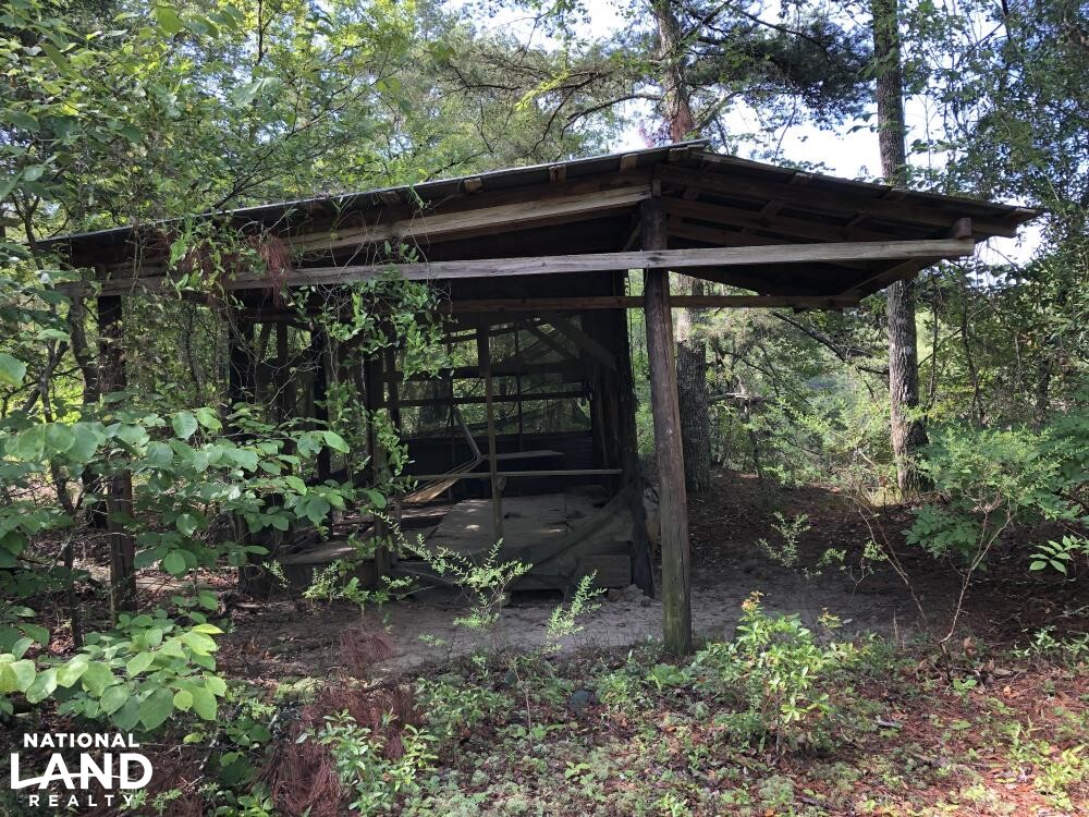 Ohoopee River Recreational Tract in Tattnall County, (75 Photos