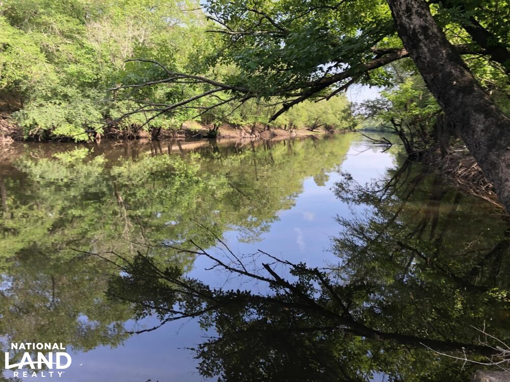 Ohoopee River Recreational Tract in Tattnall County, (75 Photos