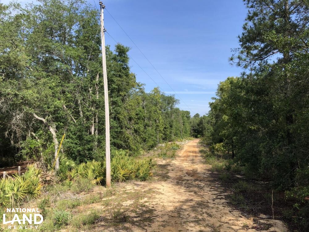 Ohoopee River Recreational Tract in Tattnall County, (75 Photos