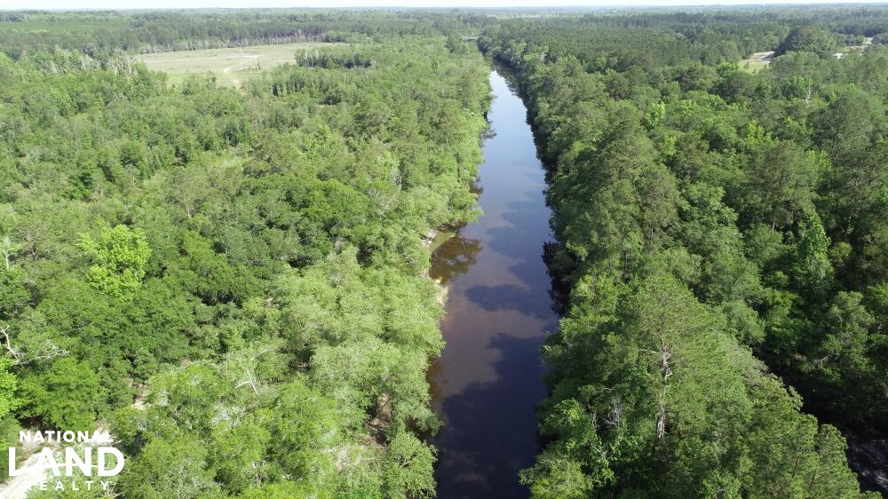 Ohoopee River Recreational Tract in Tattnall County, (75 Photos