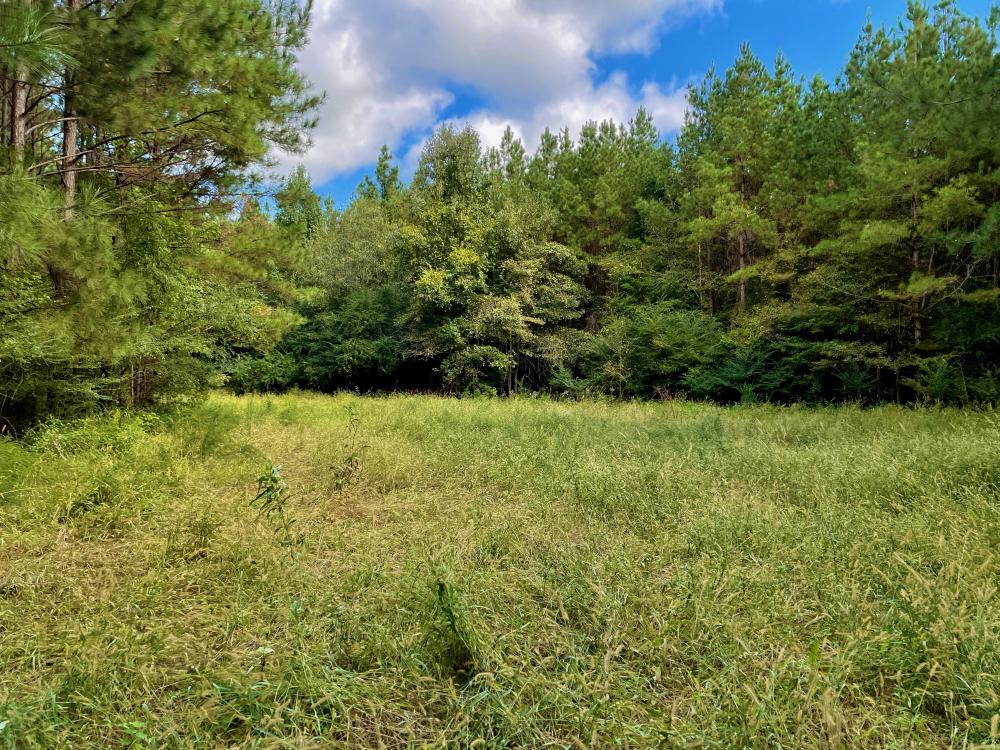 Luxapallila Recreational, Timber, and Hunting Tract in Lowndes County