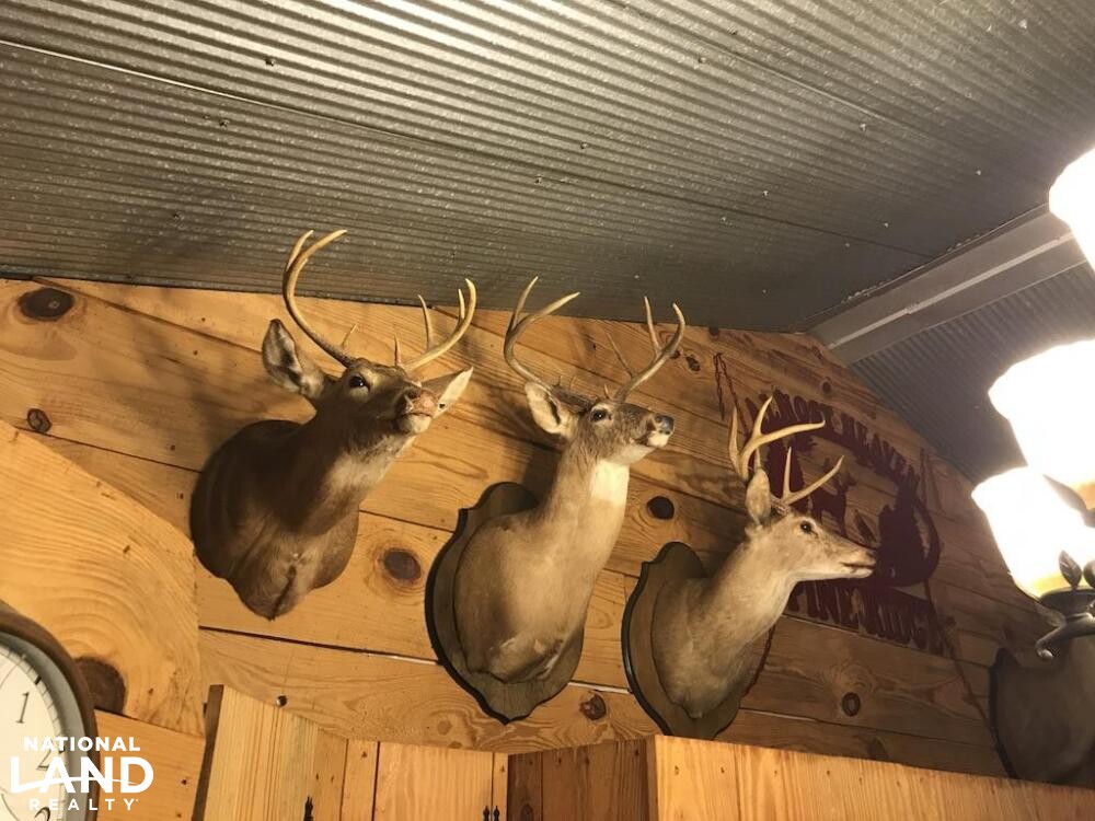 Custom Cabin, Stocked Pond, Huge Food Plot & More in Kemper County