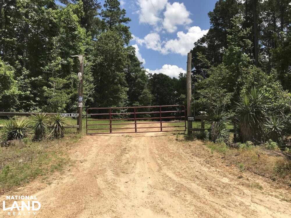 Custom Cabin, Stocked Pond, Huge Food Plot & More in Kemper County