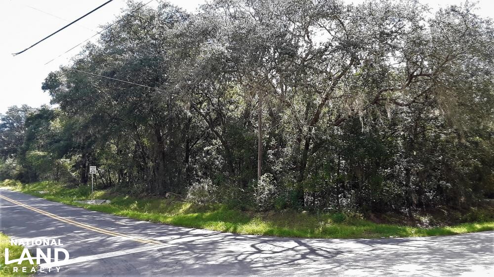 Interlachen Lakes Estates Lot in Putnam County, Florida (9 Photos) National Land Realty