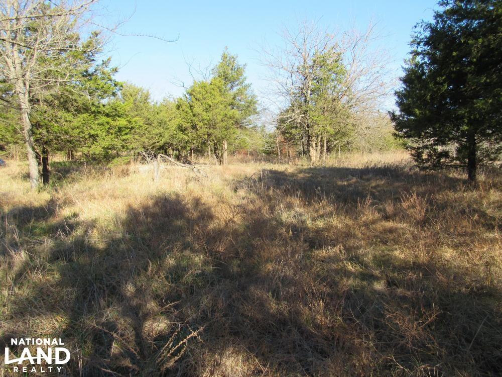 Homesite near the Lake in Muskogee County, Oklahoma (10 Photos