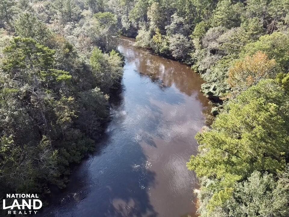 Escatawpa River Timber and Hunting Investment in Washington County