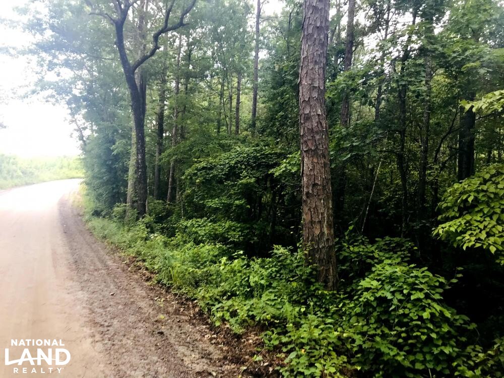 Whitesburg Springer Rd Homesite in Carroll County, (8 Photos