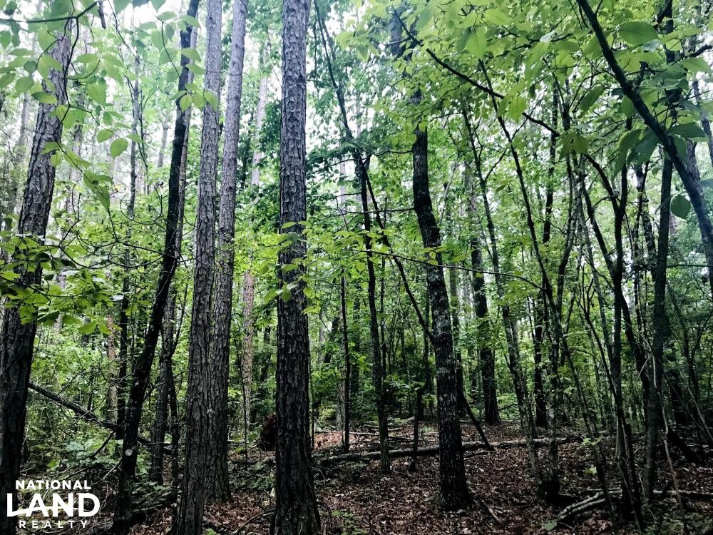 Whitesburg Springer Rd Homesite in Carroll County, (8 Photos