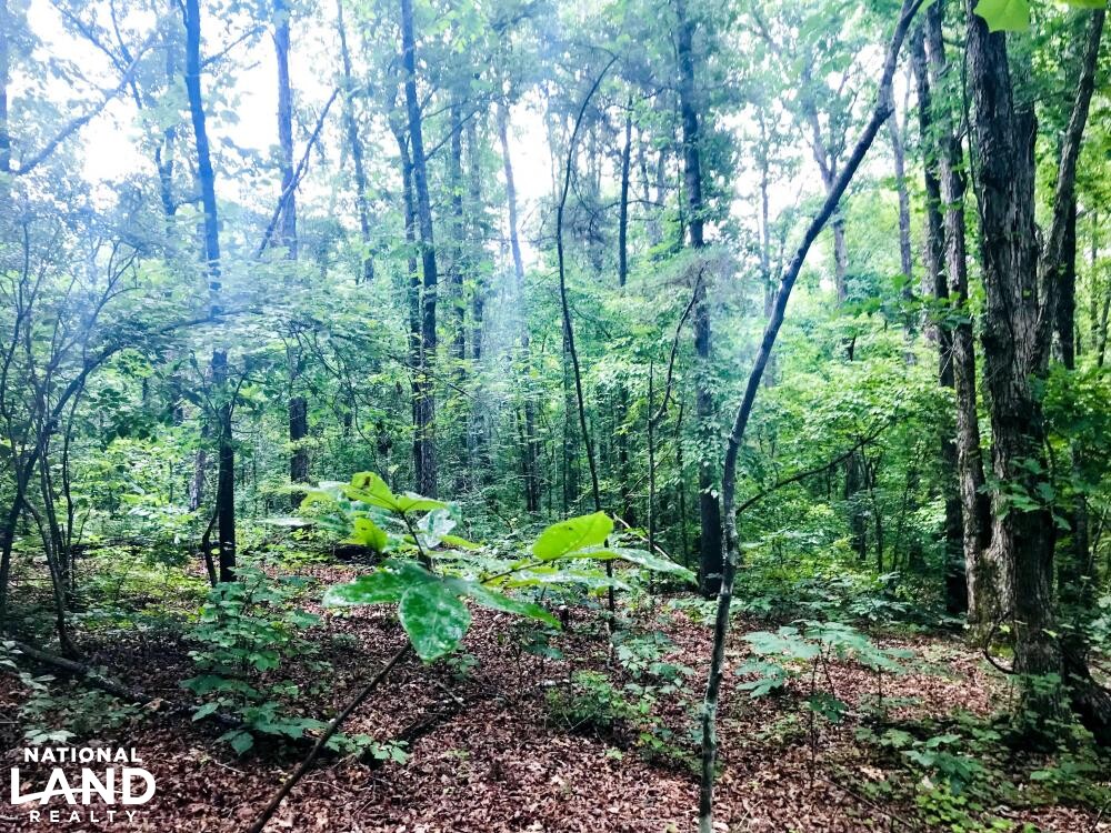 Whitesburg Springer Rd Homesite in Carroll County, (8 Photos