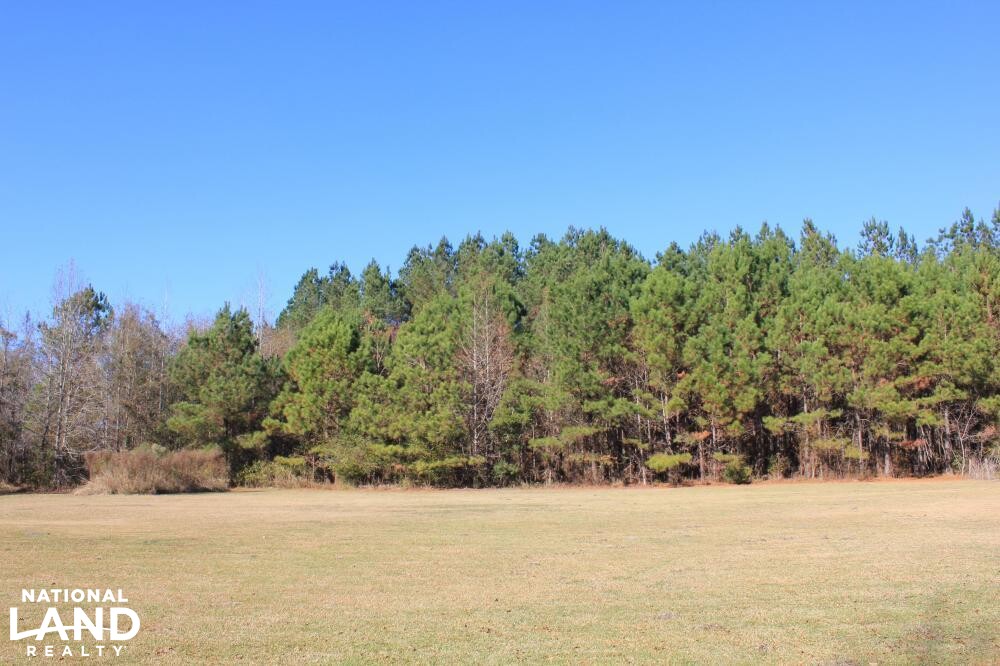 St. Barndominium and Acreage in Dorchester County, South