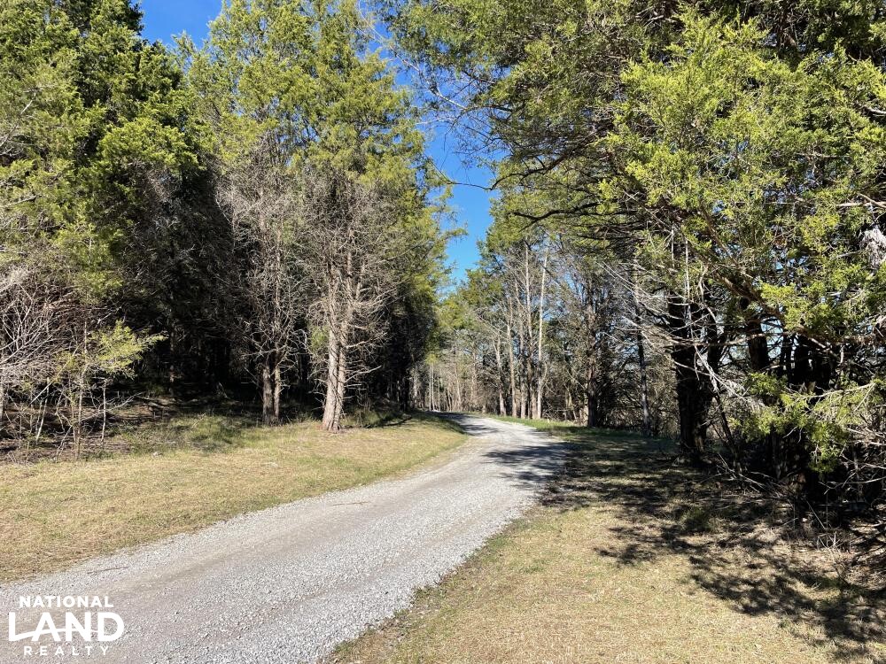 Tombigbee River Hunting Retreat in Sumter County, Alabama (44 Photos