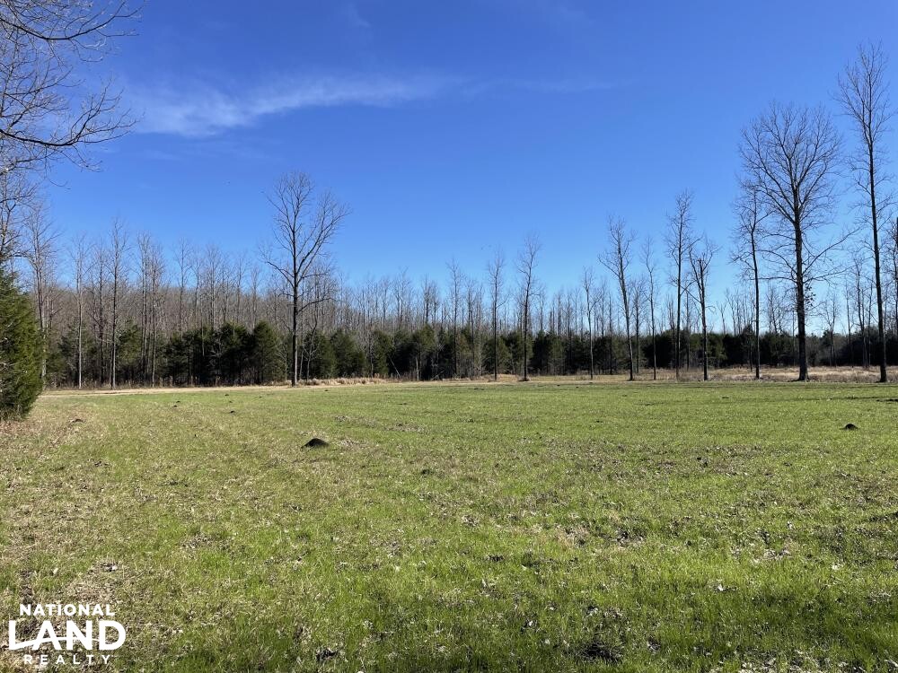 Tombigbee River Hunting Retreat in Sumter County, Alabama (44 Photos