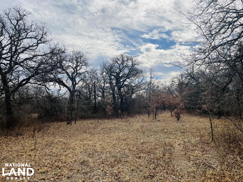 Healdton Cattle/Hunting Ranch in Carter County, Oklahoma (26 Photos