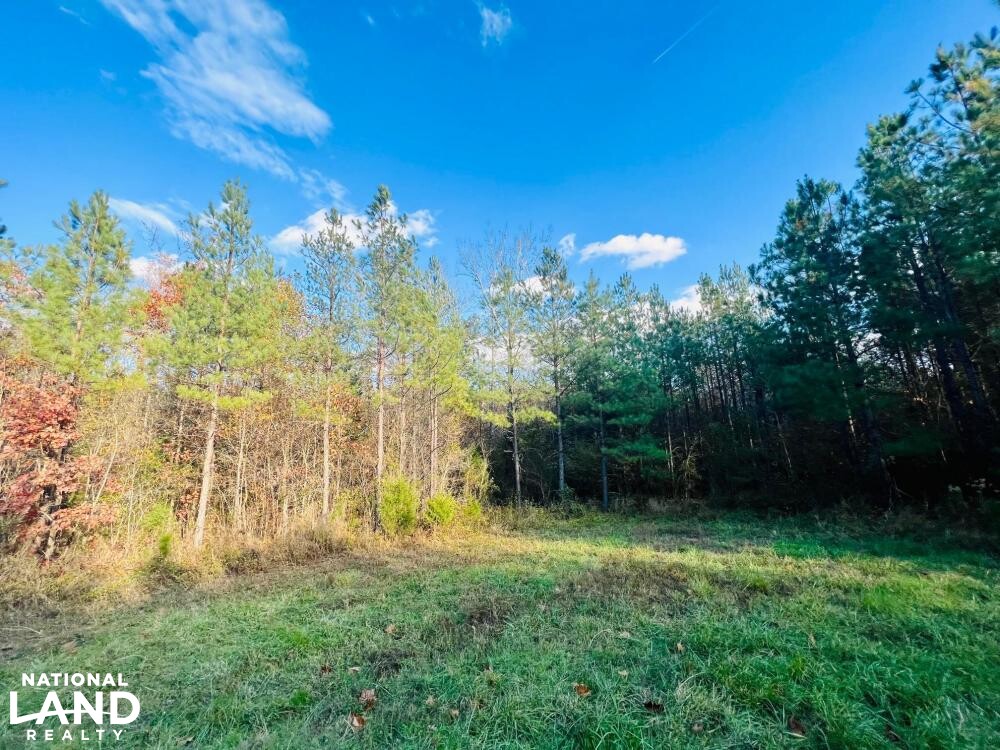 Roanoke River Hunting Paradise in Halifax County, Virginia (27 Photos