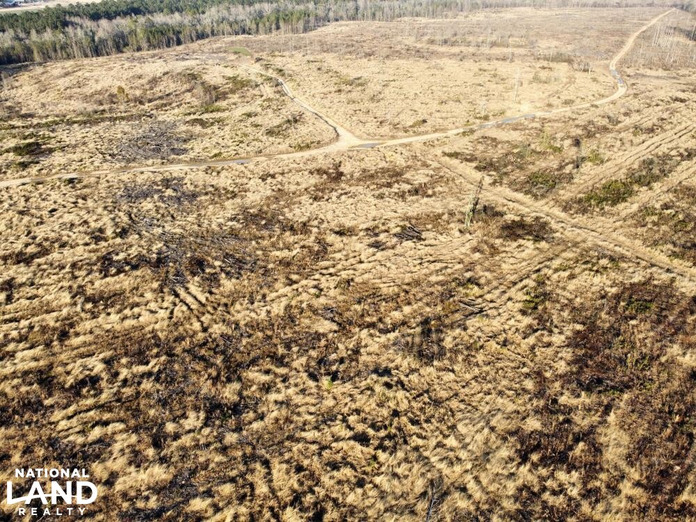 Versatile Atmore Highway 21 Farm Timber Hunting Tract in Escambia