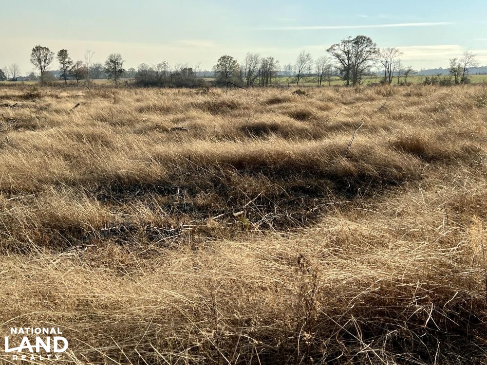Versatile Atmore Highway 21 Farm Timber Hunting Tract in Escambia