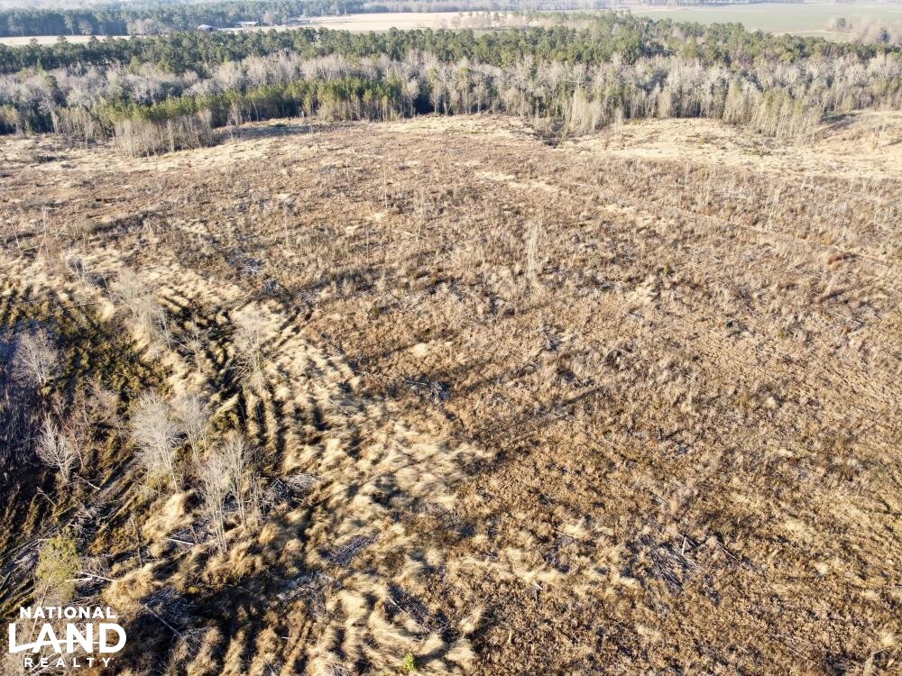 Versatile Atmore Highway 21 Farm Timber Hunting Tract in Escambia