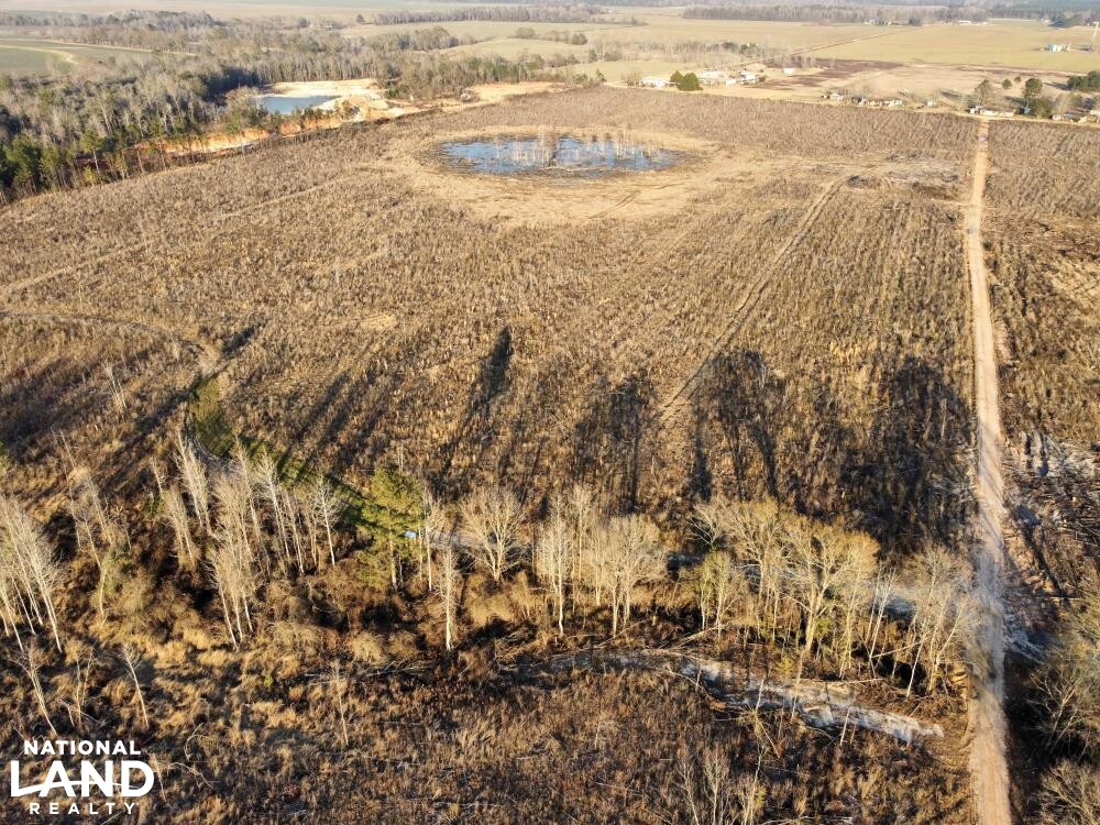 Versatile Atmore Highway 21 Farm Timber Hunting Tract in Escambia