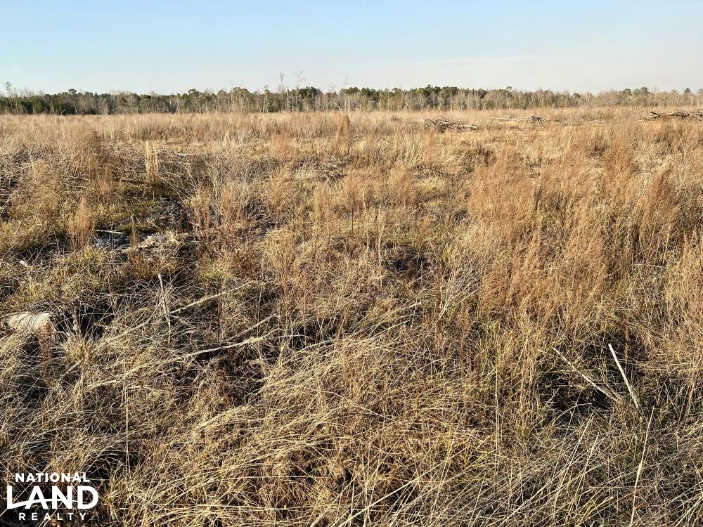 Versatile Atmore Highway 21 Farm Timber Hunting Tract in Escambia