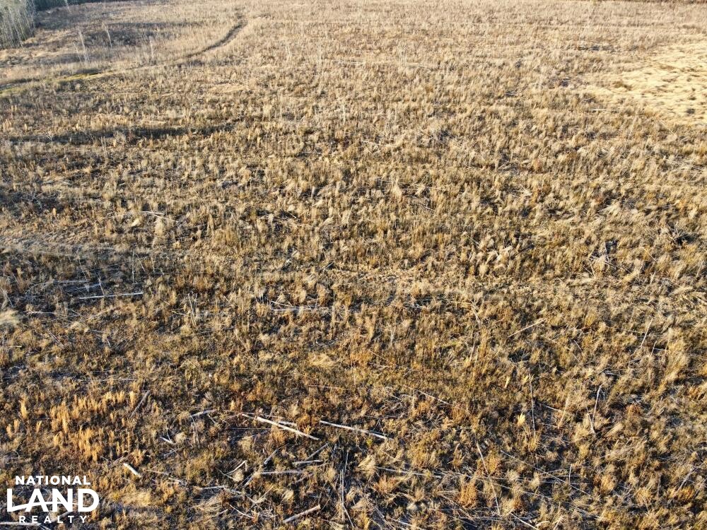 Versatile Atmore Highway 21 Farm Timber Hunting Tract in Escambia