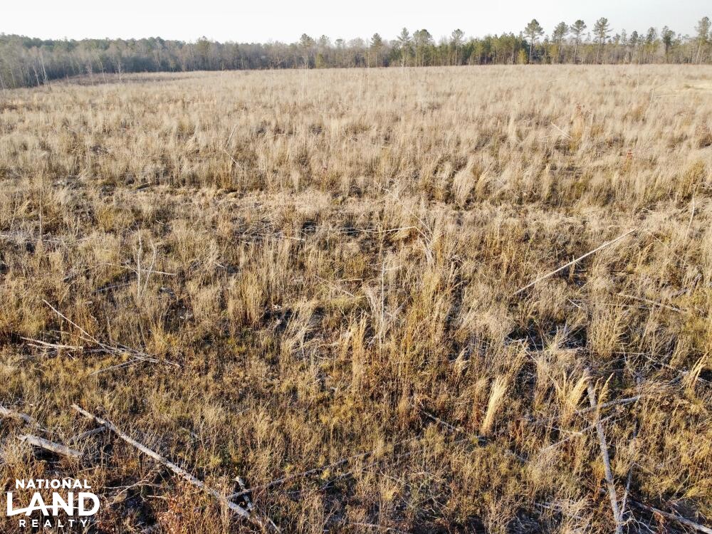 Versatile Atmore Highway 21 Farm Timber Hunting Tract in Escambia