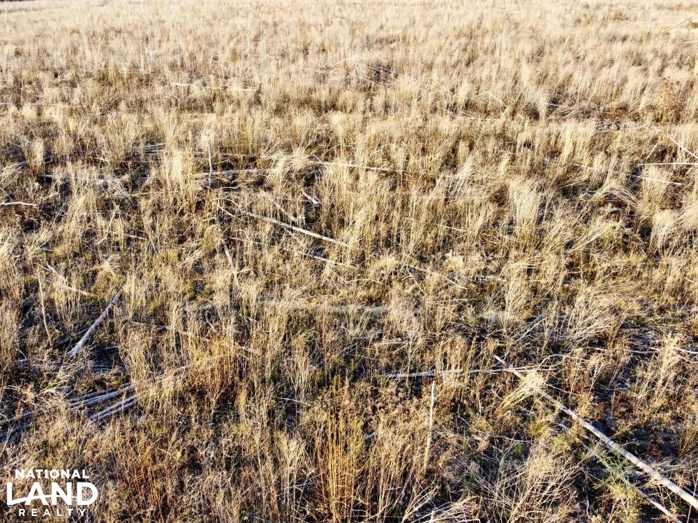 Versatile Atmore Highway 21 Farm Timber Hunting Tract in Escambia