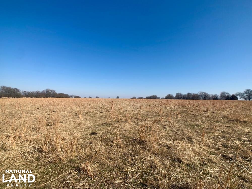 Crop and Cattle Quarter Section in Labette County, Kansas (11 Photos) National Land Realty