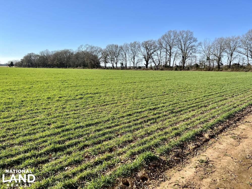 Byrd Lane Uriah Farm Investment in Monroe County, Alabama (27 Photos