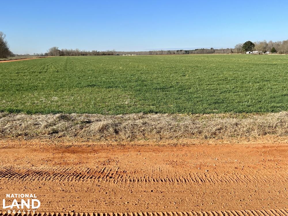 Byrd Lane Uriah Farm Investment in Monroe County, Alabama (27 Photos