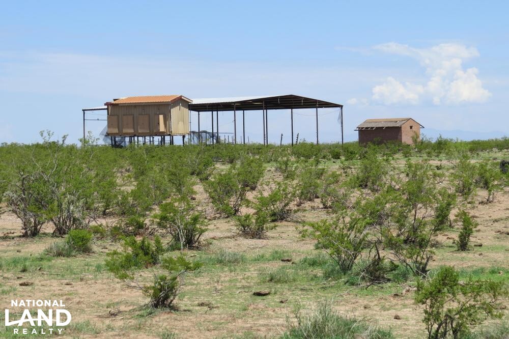 Virden Hidalgo Ranches 140 acres Lot 1 in Hidalgo County, New Mexico