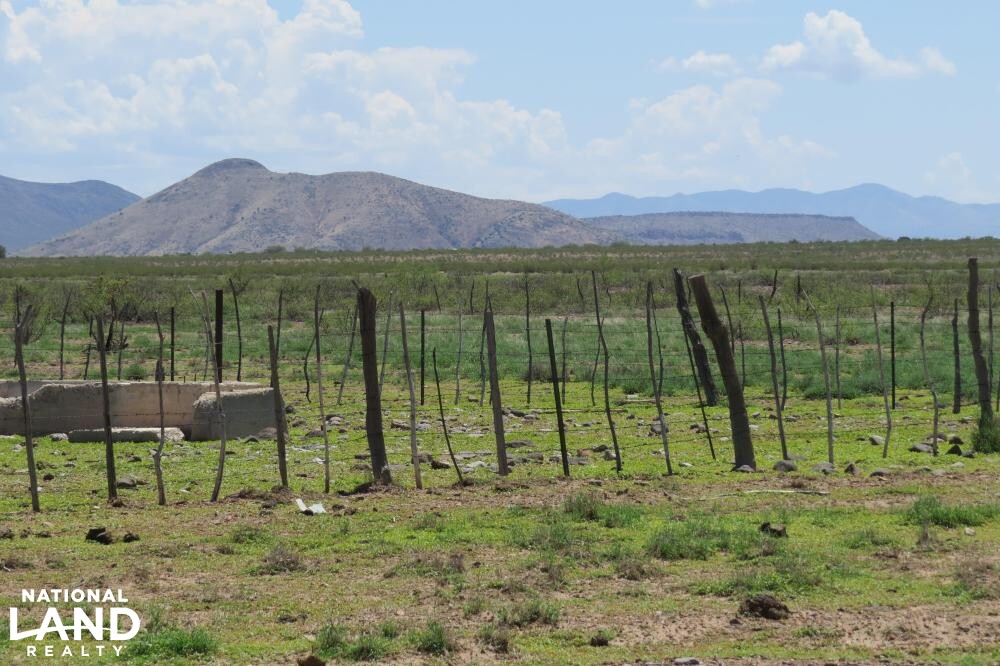 Virden Hidalgo Ranches 140 acres Lot 1 in Hidalgo County, New Mexico