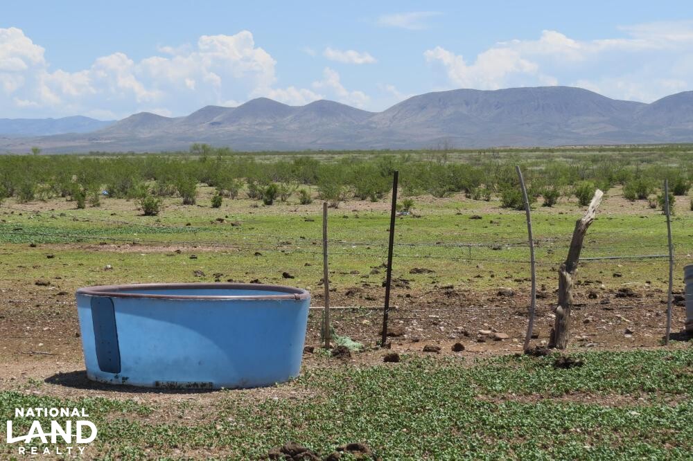 Virden Hidalgo Ranches 140 acres Lot 1 in Hidalgo County, New Mexico