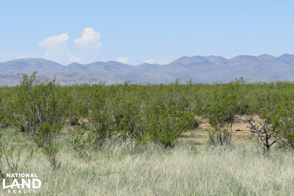 Virden Hidalgo Ranches 140 acres Lot 1 in Hidalgo County, New Mexico