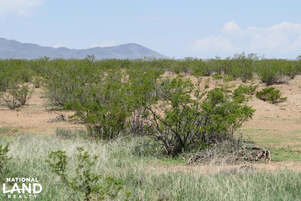 Virden Hidalgo Ranches 140 acres Lot 1 in Hidalgo County, New Mexico
