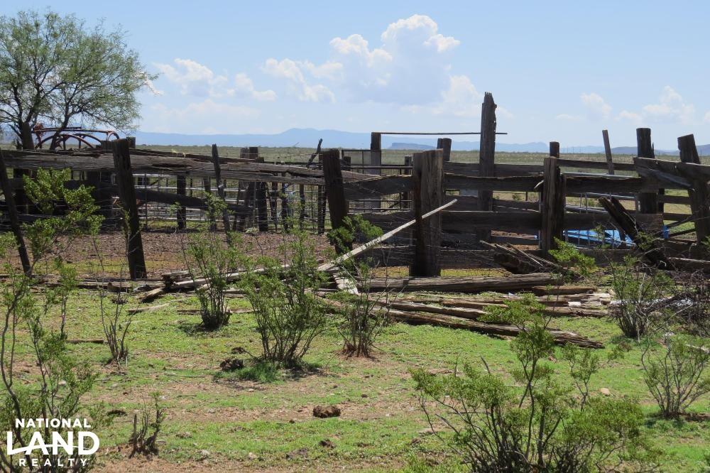 Virden Hidalgo Ranches 140 acres Lot 1 in Hidalgo County, New Mexico