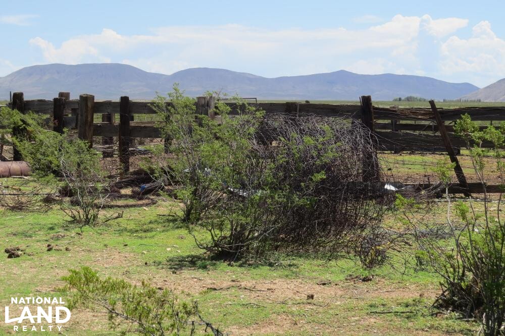 Virden Hidalgo Ranches 140 acres Lot 1 in Hidalgo County, New Mexico