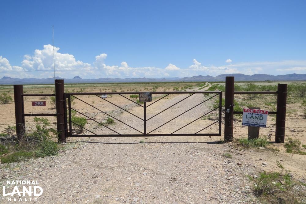 Virden Hidalgo Ranches 140 acres Lot 1 in Hidalgo County, New Mexico