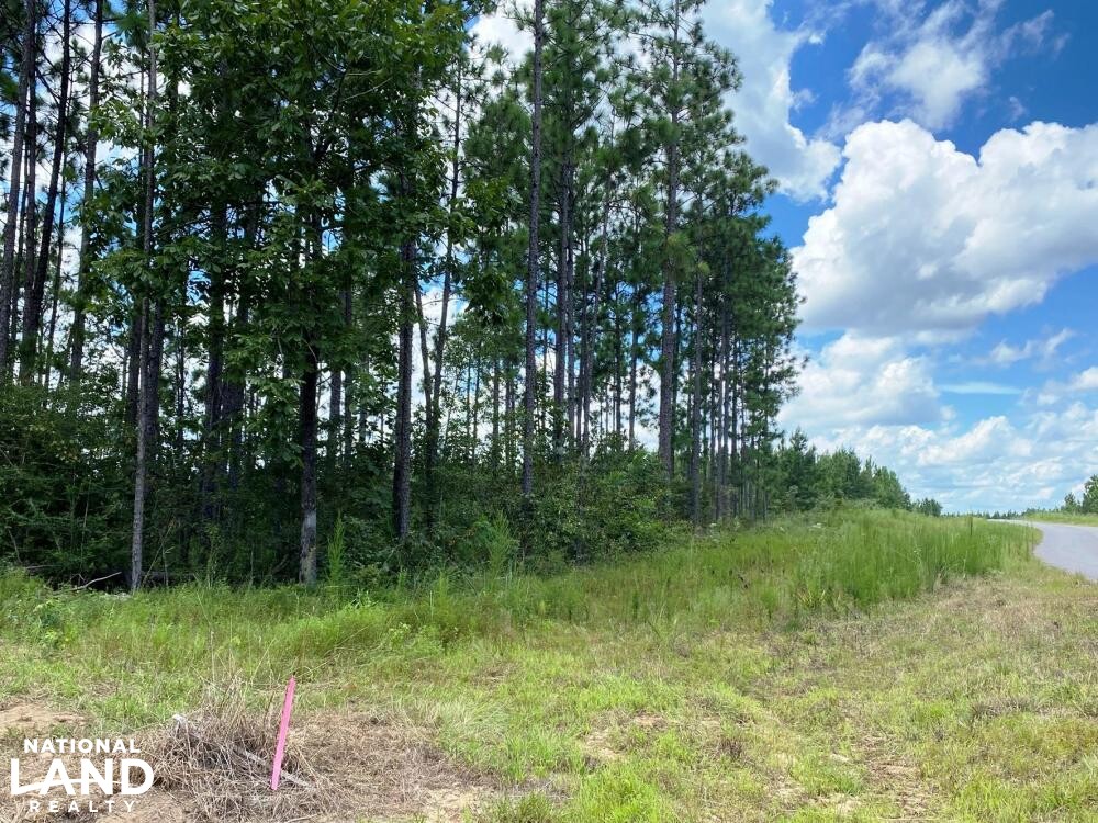 Sandwood Residential Tract 2D in Lamar County, Mississippi (9 Photos