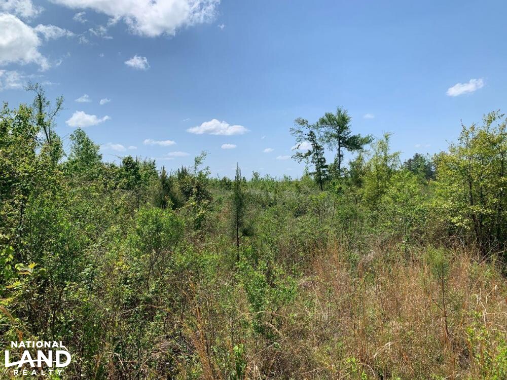 Home or Cabin Site With Elevated Views 20 Minutes West of Meridian in