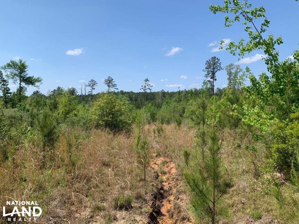 Home or Cabin Site With Elevated Views 20 Minutes West of Meridian in