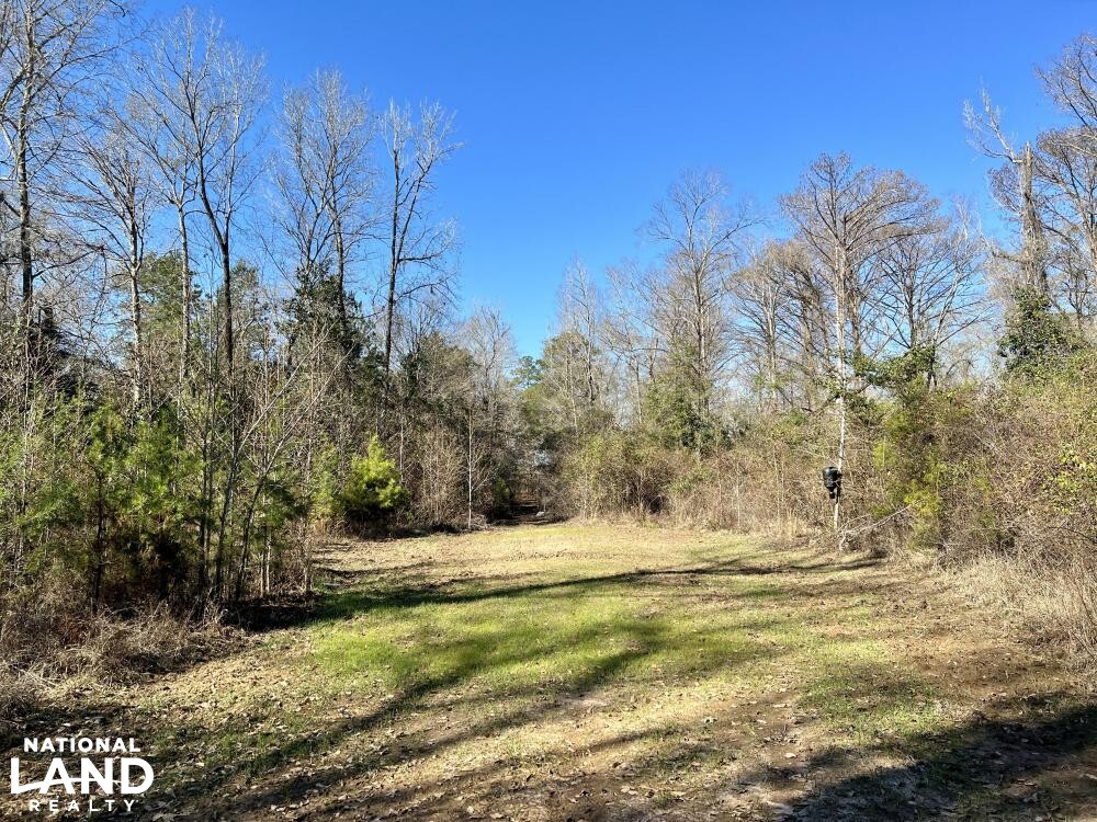 Conecuh River Hunting & Timber Investment in Crenshaw County, Alabama