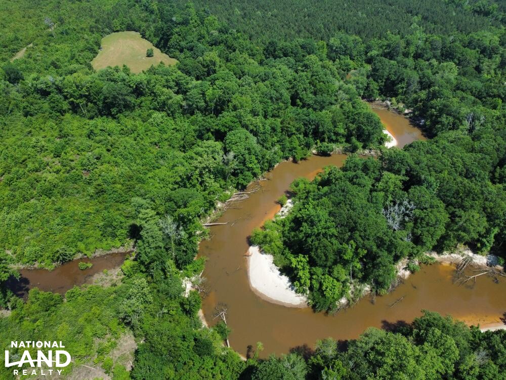 Conecuh River Hunting & Timber Investment in Crenshaw County, Alabama