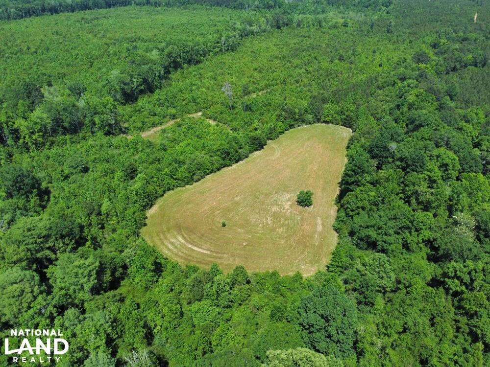 Conecuh River Hunting & Timber Investment in Crenshaw County, Alabama