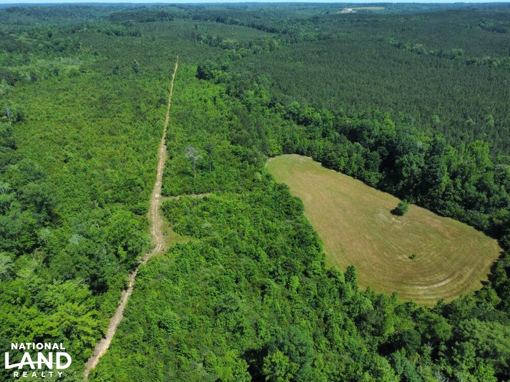 Conecuh River Hunting & Timber Investment in Crenshaw County, Alabama