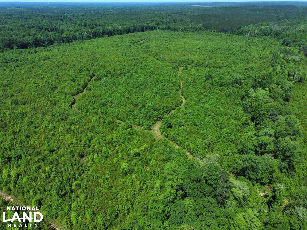 Conecuh River Hunting & Timber Investment in Crenshaw County, Alabama