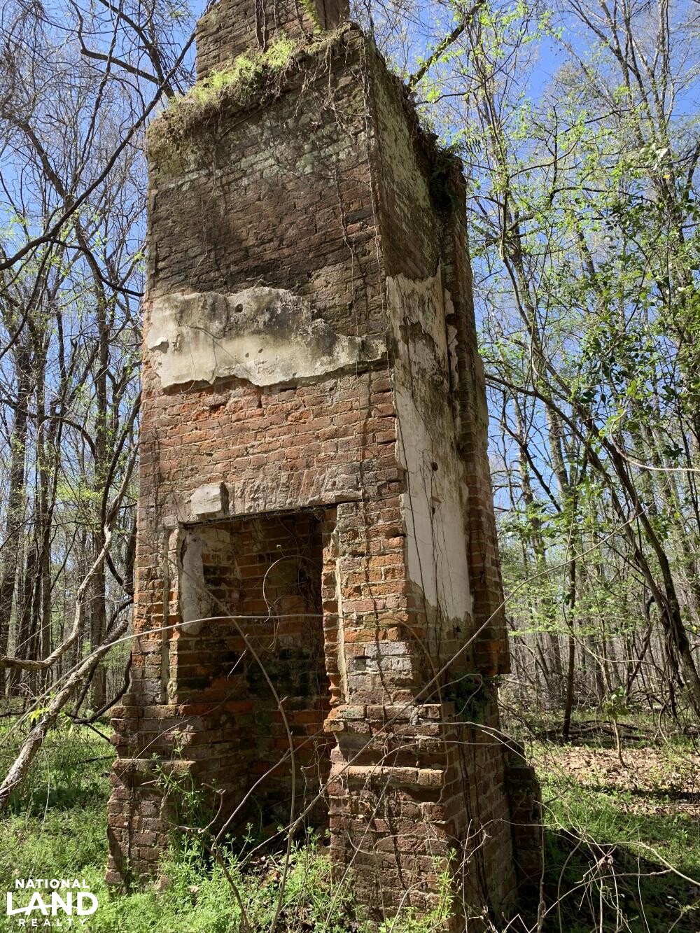 Hollywood Plantation in Adams County, MS (6 of 45)