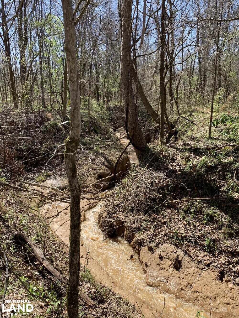 Creek (19 of 45)