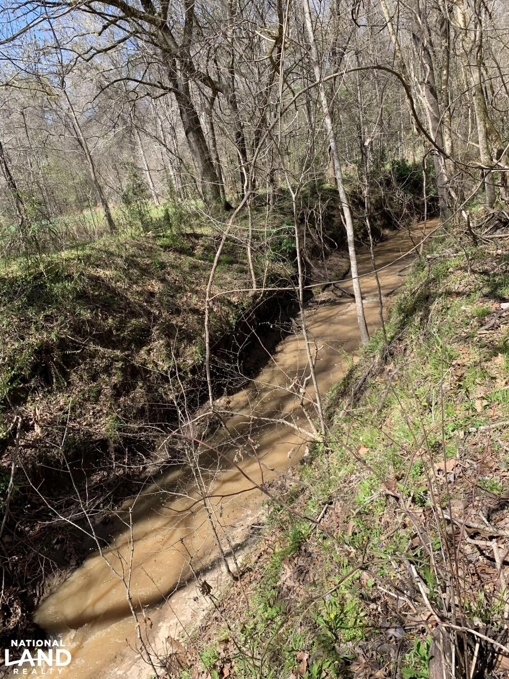 Creek (20 of 45)